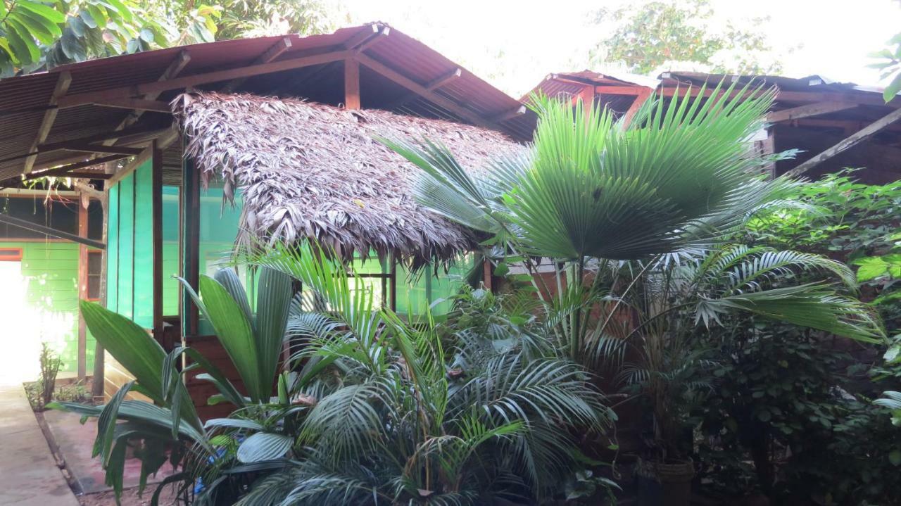 Tambopata Hostel Bambu 马尔多纳多港 外观 照片
