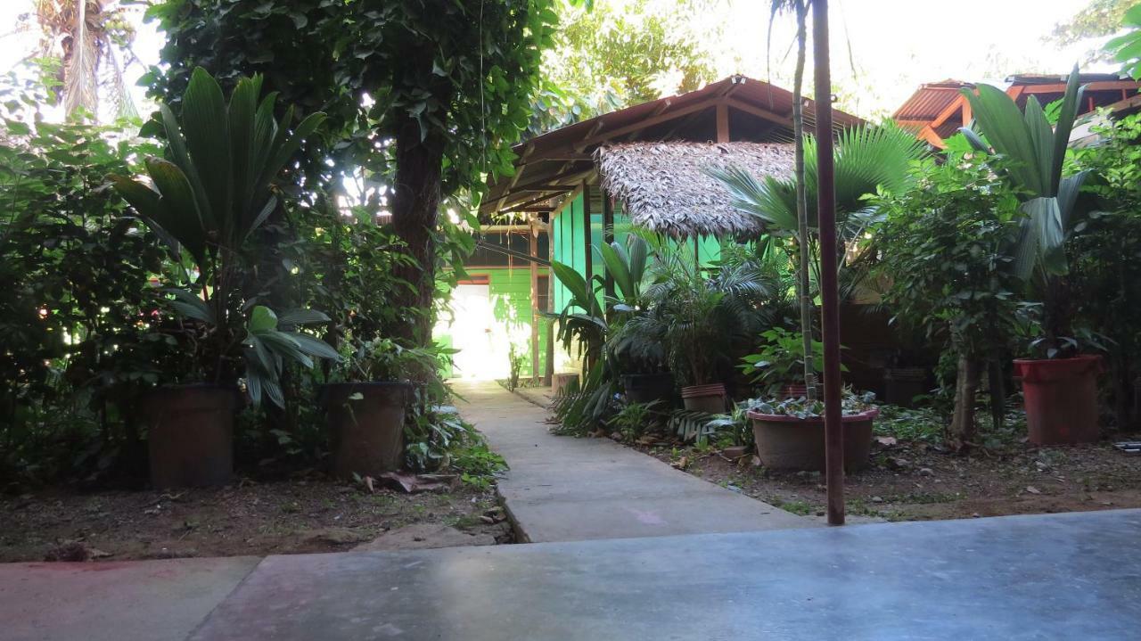 Tambopata Hostel Bambu 马尔多纳多港 外观 照片